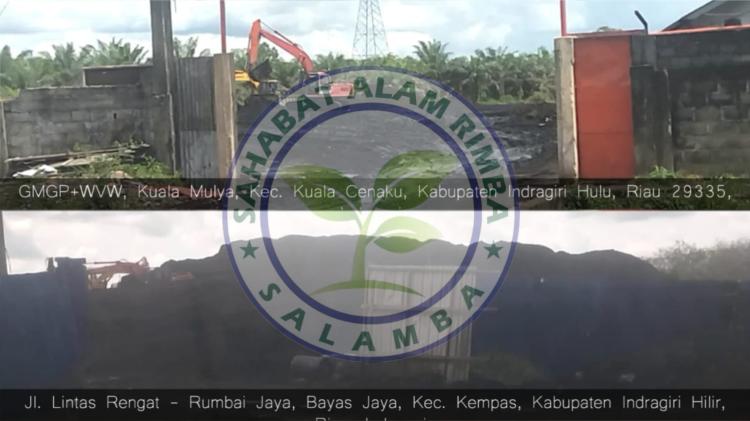 Yayasan SALAMBA Laporkan Dua Perusahaan Stockpile Batu Bara ke Polda Riau